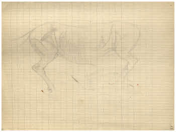 Visualizza l'immagine "FD Album 7, 13 r."